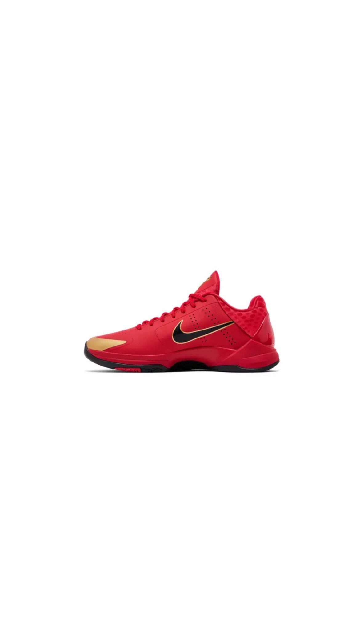 Kobe 5 Protro Year of the Mamba University Red