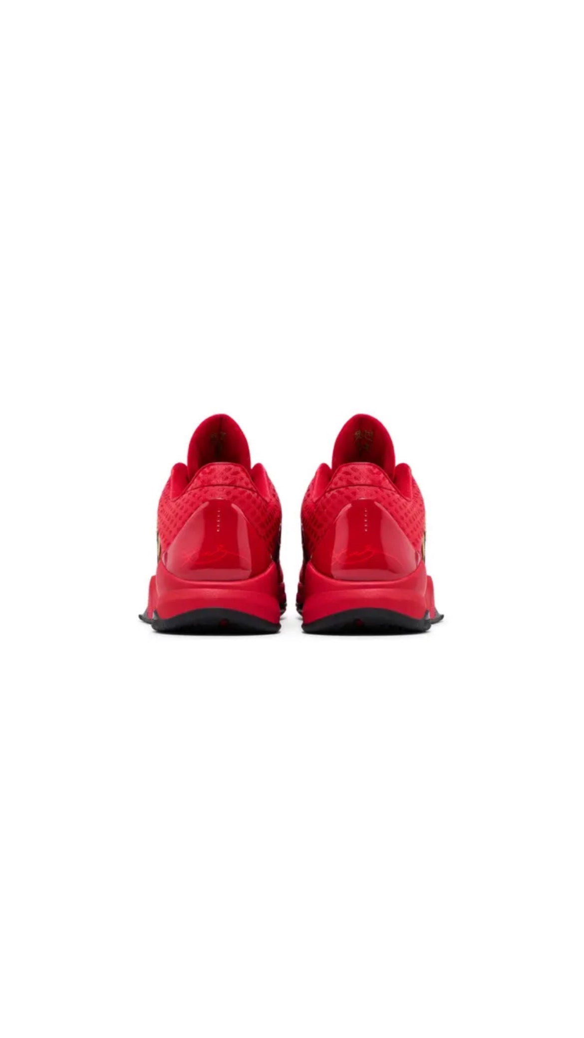 Kobe 5 Protro Year of the Mamba University Red