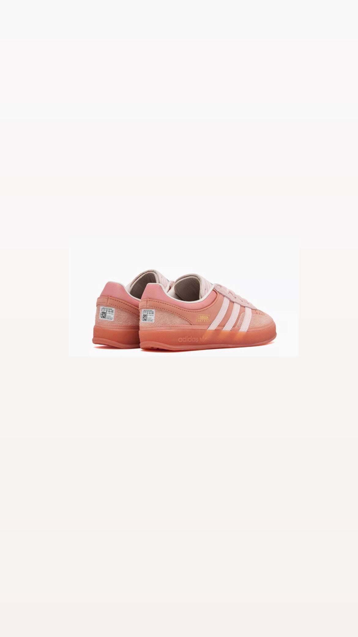 Gazelle Indoor Bad Bunny Cabo Rojo