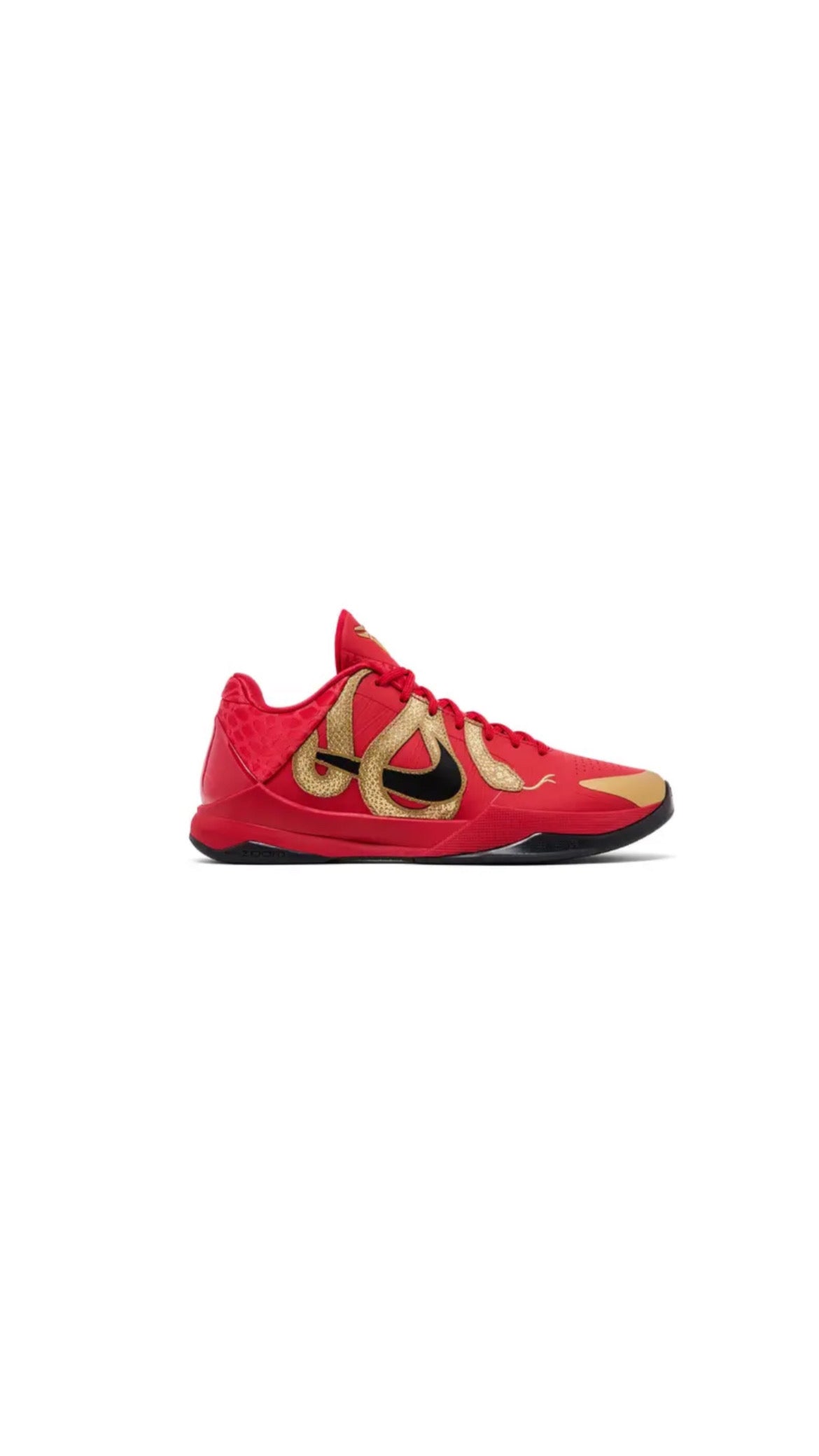 Kobe 5 Protro Year of the Mamba University Red